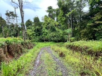 Venta finca amplia con potencial agrícola o turístico en entorno natural #26-1801 GS en Peñas Blancas, San Ramón, Alajuela — $200,000 - Foto 5 de 8
