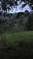 BELLÍSIMA FINCA EN AGUA BUENA, COTO BRUS.  en Aguabuena, Coto Brus, Puntarenas — $320,000 - Foto 5 de 14