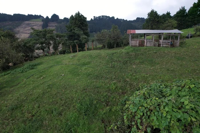 Finca en venta en Llano Bonito, Naranjo, Costa Rica – 10 manzanas en Mercedes, Atenas, Alajuela — ₡ 370 000 000 - Foto 2 de 18