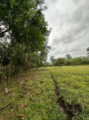 Finca en excelente ubicación  in Canoas, Corredores, Puntarenas — $1,100,000,000 - Photo 5 of 15