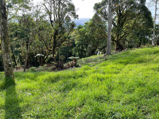 Venta de Lote, Heredia, Varablanca - Photo 2 of 3