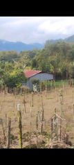 Venta de terreno..para quinta y agricultura