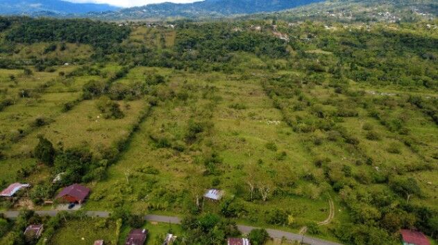 PROPIEDAD PLANA DE 9.21 HECTÁREAS EN VENTA EN MIRAFLORES – FRENTE A CALLE PÚBLICA Y RÍO in San Isidro De El General, Pérez Zeledón, San José — $540,000