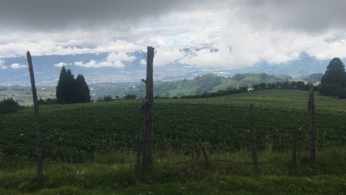 finca las pavas Llano grande de cartago en Llano Grande, Cartago — ₡ 250 000 000
