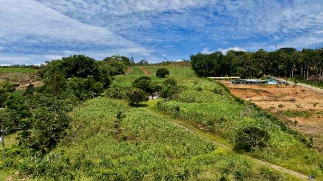 SE VENDE PROPIEDAD COMERCIAL EN REPUNTA CON EXCELENTE FRENTE A LA INTERAMERICANA in Daniel Flores, Pérez Zeledón, San José — $5,000,000