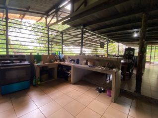 QUINTA CON 2 CABAÑAS BELLA VISTA en Guápiles, Pococí, Limón — 62 000 000 ₡ - Foto 4 de 28