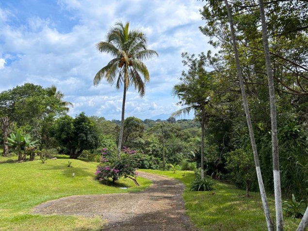 Venta de Casa con apartamento y terreno de uso mixto en  Alajuela in Tambor, Alajuela — ₡ 285 000 000 - Photo 2 of 29