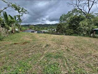🌿 LOTE EN VENTA – LA TIGRA en La Tigra, San Carlos, Alajuela — 19 000 000 ₡ - Foto 4 de 6