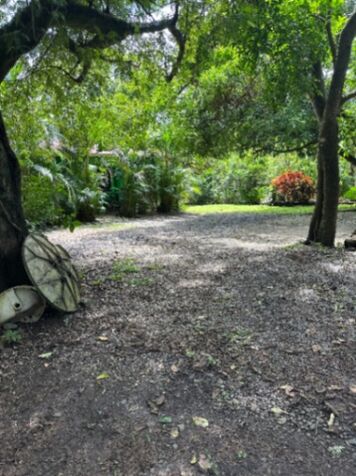 Venta de propiedad en Nosara  in Nosara, Nicoya, Guanacaste — ₡ 250 000 000