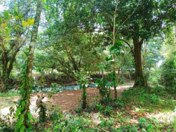 Guatuso 6800mts en Katira, Guatuso, Alajuela — ₡ 70 000 000