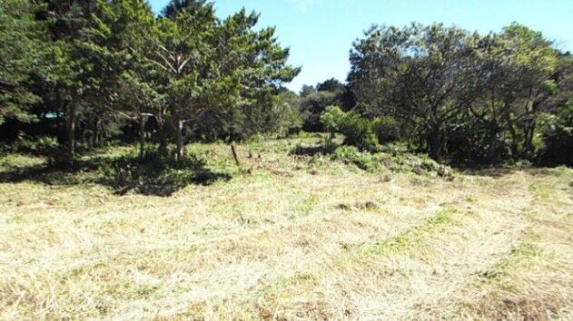 OPORTUNIDAD ÚNICA DE INVERSIÓN EN FLORES, HEREDIA in San Rafael, Heredia — $1,054,020