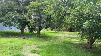 Venta Terreno de Desarrollo, San Jose, Moravia, San Vicente