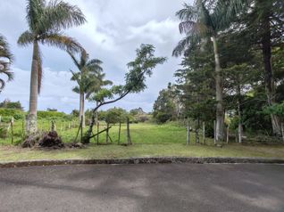 Lote  en Residencial Aves del Paraíso San Rafael