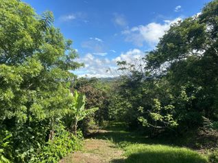 Venta - Terreno de 13.400 m2 en San Miguel, Santo Domingo, Heredia — $1,100,000 - Foto 4 de 14