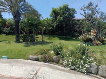 Se vende casa con amplia zona verde en San Rafael Escazú 24-1294 en San Rafael, Escazú, San José — $750,000 - Foto 4 de 22