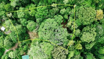 SE VENDE TERRENO LISTO PARA CONSTRUIR RODEADO DE NATURALEZA en Barú, Pérez Zeledón, San José — $215,000 - Foto 5 de 14