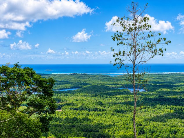 Finca de 105 Hectáreas con Vista al Mar en Osa en Sierpe, Osa, Puntarenas — $3,000,000 - Foto 3 de 17