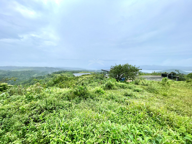 Lakefront Land with Views of Lake Arenal and Cote – 32 Acres Available in Arenal, Tilarán, Guanacaste — $850,000 - Photo 3 of 7