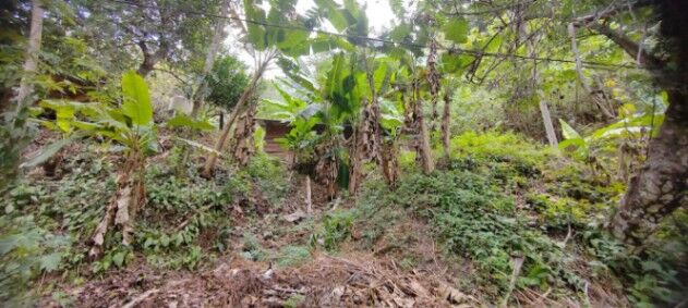 Venta de Lote en Jacó-Garabito, Puntarenas.  in Jacó, Garabito, Puntarenas — ₡ 82 000 000