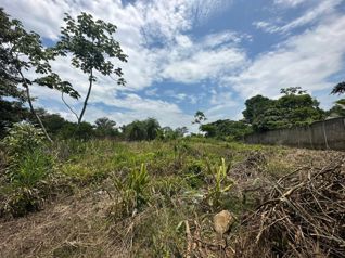 Lotes de 1113 m2  a 50 metros de la carretera en Coyolar de Orotina en Coyolar, Orotina, Alajuela — $38,000,000 - Foto 4 de 14