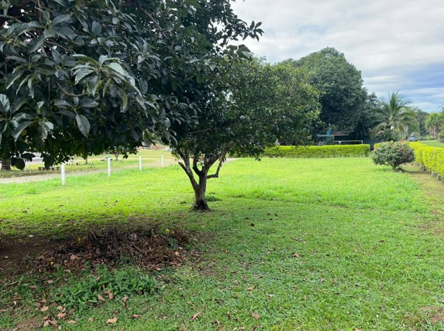 VENTA DE LOTE DE USO MIXTO, ALAJUELA, OROTINA en Orotina, Alajuela — ₡ 55 000 000