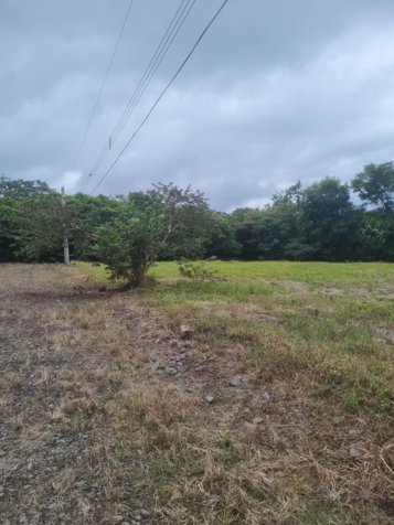 VENTA DE LOTE, PUNTARENAS, MIRAMAR, HACIENDA MONTES DE ORO in Miramar, Montes De Oro, Puntarenas — $38,528