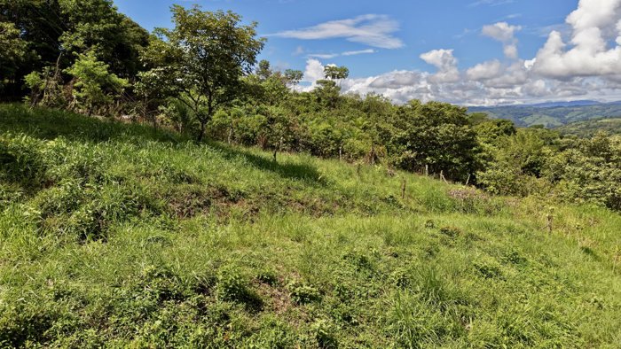 VENTA DE LOTE DE 258 M2 EN TRES RIOS, PEREZ ZELEDON: IDEAL PARA AIRBNB O CABAÑA en Buenos Aires, Puntarenas — $10,000