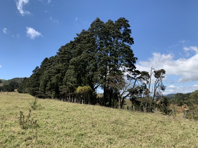 VENTA TERRENO DE DESARROLLO INDUSTRIAL 3, CARTAGO, OCHOMOGO in San Nicolás, Cartago — $6,800,000