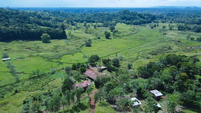 Venta De Finca 375.7 Hectáreas Sarapiquí Heredia in La Virgen, Sarapiquí, Heredia — $3,000,000 - Photo 2 of 17