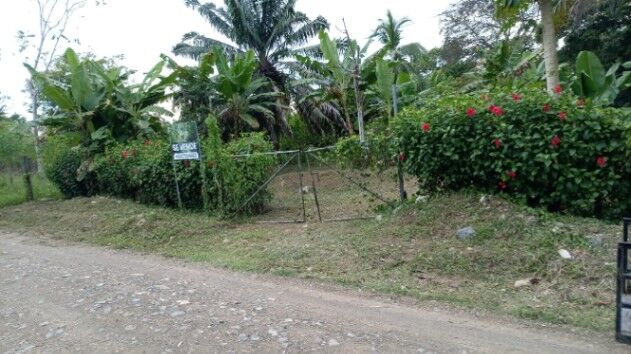 LOTE EN VENTA CON ACCESO A RIO SIERPE POR AUTOMOVIL O BOTE en Sierpe, Osa, Puntarenas — $80,000
