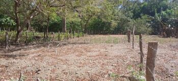MLS-26-1603 LS VENTA LOTE SANTA CRUZ GUANACASTE en Santa Cruz, Guanacaste — $18,500 - Foto 4 de 6