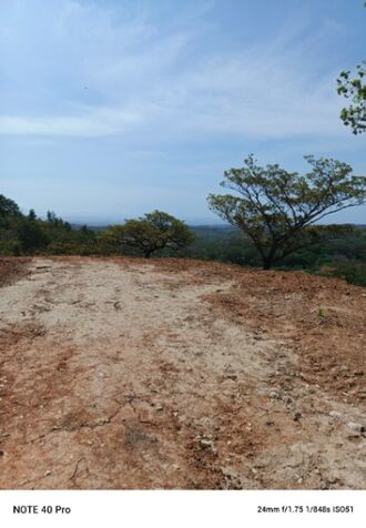 OWNER SELLS 6375M2 FARMHOUSE GUAYABO BAGACES GTE, VIEW OF THE MIRAVALLES VOLCANO, $80,000 87291299 in Mogote, Bagaces, Guanacaste — $80,000