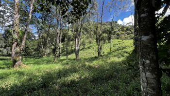 VENTA DE LOTE RESIDENCIAL Y TURISTICO EN SAN FRANCISCO DE RIVAS, PEREZ ZELEDON en Rivas, Pérez Zeledón, San José — $160,000 - Foto 5 de 10