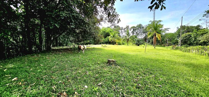Venta de Lote en Limón, Siquirres. en Siquirres, Limón — ₡ 60 000 000 - Foto 2 de 13
