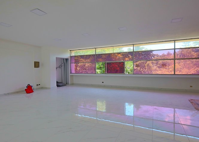 Alquiler Oficina en Zapote en Zapote, San José — $1,750 - Foto 3 de 11