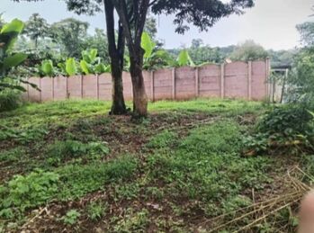 Land For Sale San Jerónimo, Naranjo, Alajuela