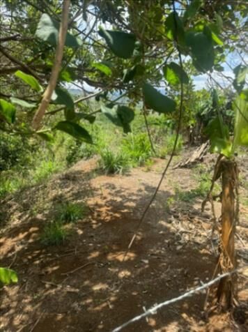 Venta de lotes! oportunidad! en Alajuela — ₡ 15 000 000