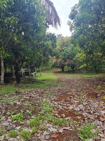 VENTA DE FINCA, GUANACASTE, SANTA CRUZ, RETALLANO en La Cruz, Guanacaste — $575,000