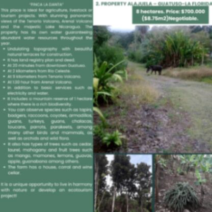 HERMOSAS FINCAS EN ALAJUELA - RIO CELESTE en Katira, Guatuso, Alajuela — $300,000