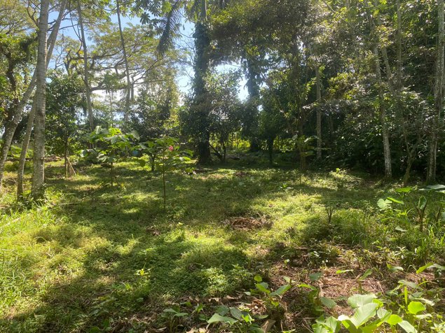 Lote frente al BAC SAN JOSE , Guapiles centro in Guápiles, Pococí, Limón — $3,876,620 - Photo 3 of 8