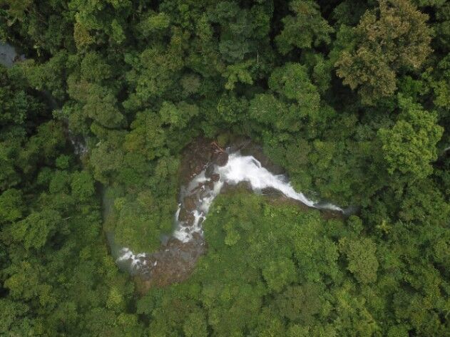 Propiedad de Eco-Lodge– The Jungle Getaway en Bahía Drake, Osa, Puntarenas — $4,000,000