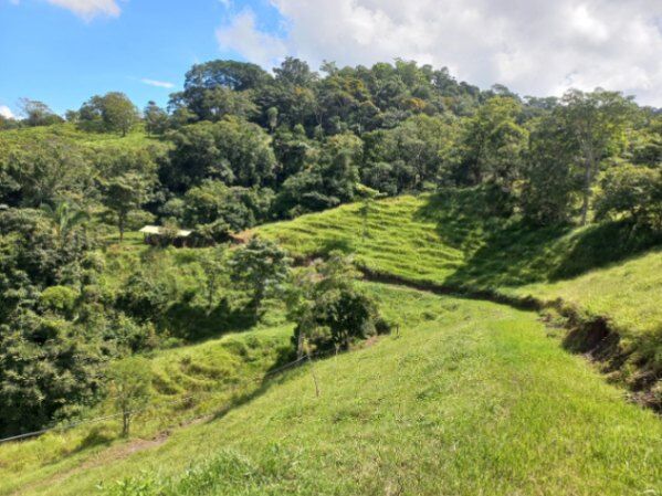 Finca agrícola  en Sabanillas, Acosta, San José — ₡ 75