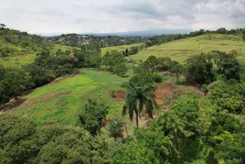 Commercial Land for Sale in La Argentina, Grecia en Mercedes, Atenas, Alajuela — 380 000 000 ₡ - Foto 5 de 16