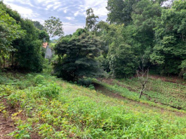 DE OPORTUNIDAD BELLA PROPIEDAD EN ATENAS.  en Atenas, Alajuela — ₡ 90 000 000