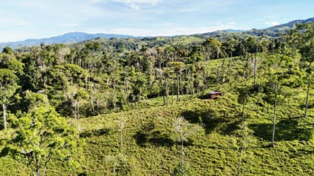 VENTA DE MACRO-PROPIEDAD DE 16 HA EN SANTA ELENA HILLS, PEREZ ZELEDON: LA JOYA DE LA CORONA in San Isidro De El General, Pérez Zeledón, San José — $1,200,000