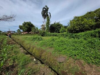 Venta de Lote en Pococí-Roxana, Limón.  en Roxana, Pococí, Limón — $70,635 - Foto 4 de 9