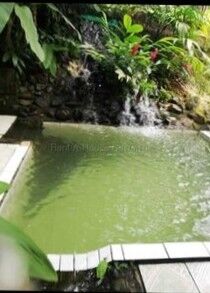 MLS-26-1955 LS VENTA FINCA GRECIA ALAJUELA CONTACTENOS AL # 86127562 en Grecia, Alajuela — ₡ 163 000 000