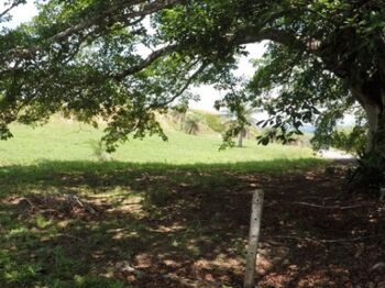 Venta de Lote 73-1.Proyecto Vista Mar en Orotina de Alajuela. RAH 27-184 en Orotina, Alajuela — $59,750 - Foto 5 de 6