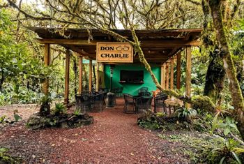 Glamping La Paz en San Ramón de Alajuela en San Ramón, Alajuela — $595,000 - Foto 5 de 21