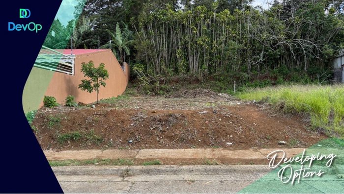 Venta de lote en Buenos Aires de Palmares en Palmares, Alajuela — ₡ 24 750 000